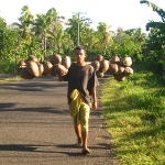Kokosnussträger am Straßenrand